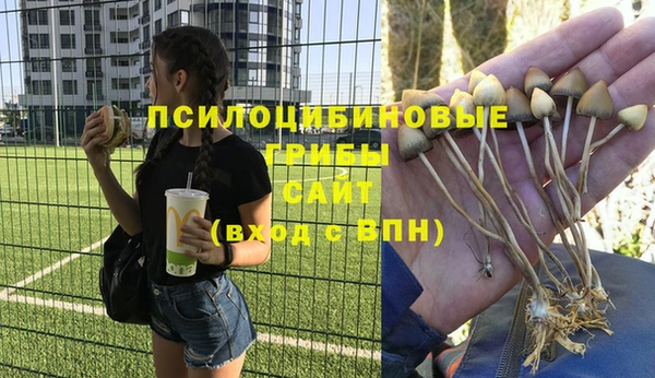 молекула духа Алзамай