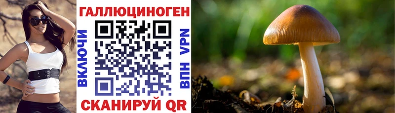 omg зеркало  Тюмень  Галлюциногенные грибы Psilocybine cubensis 